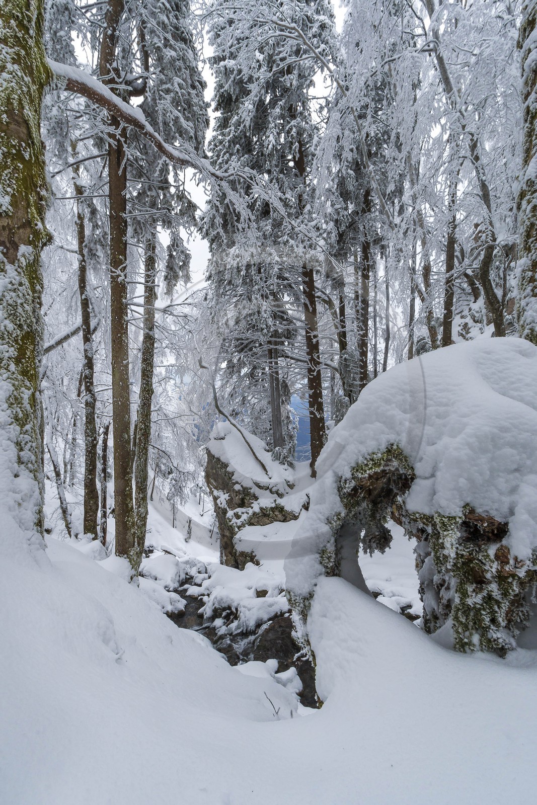 ENS de l'Isère, Les Ecouges ENS de l'Isère, Les Ecouges