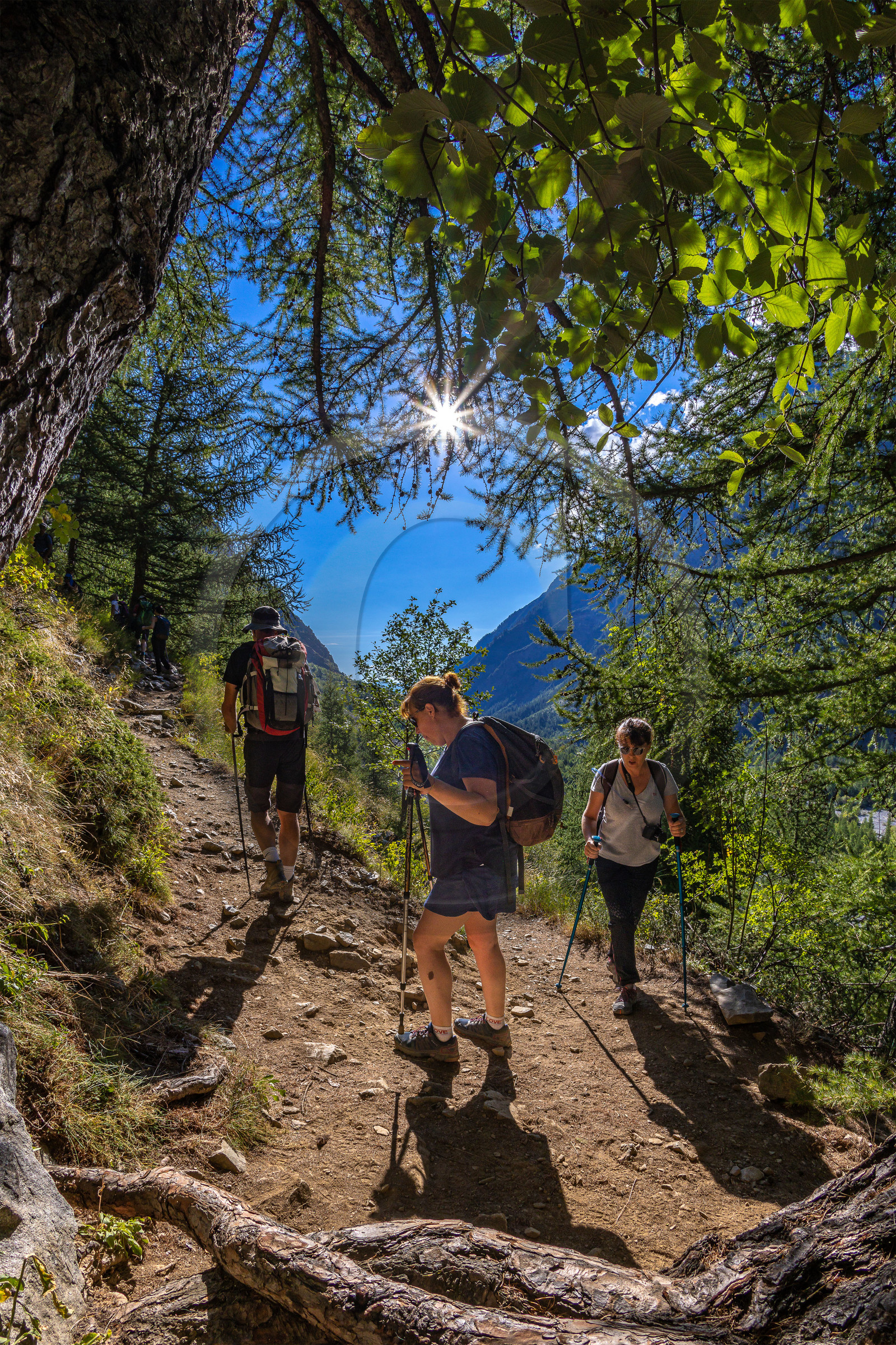 Vallon des Bans