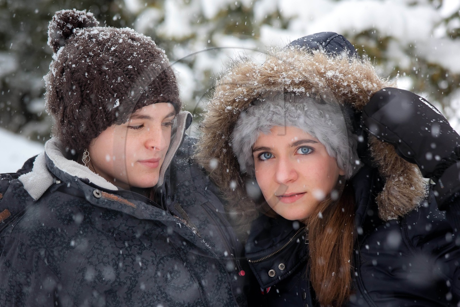 Hiver, randonnée balade sous la neige Hiver, randonnée balade sous la neige