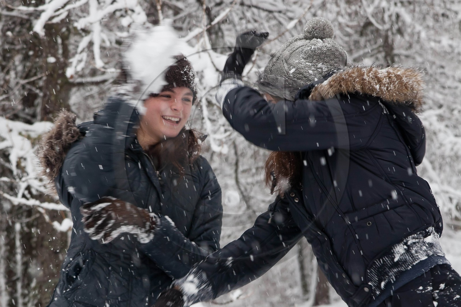 Hiver, randonnée balade sous la neige Hiver, randonnée balade sous la neige