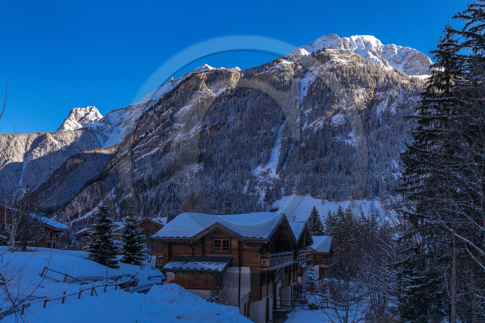 Pralognan-la-Vanoise, bouquetin en bronze