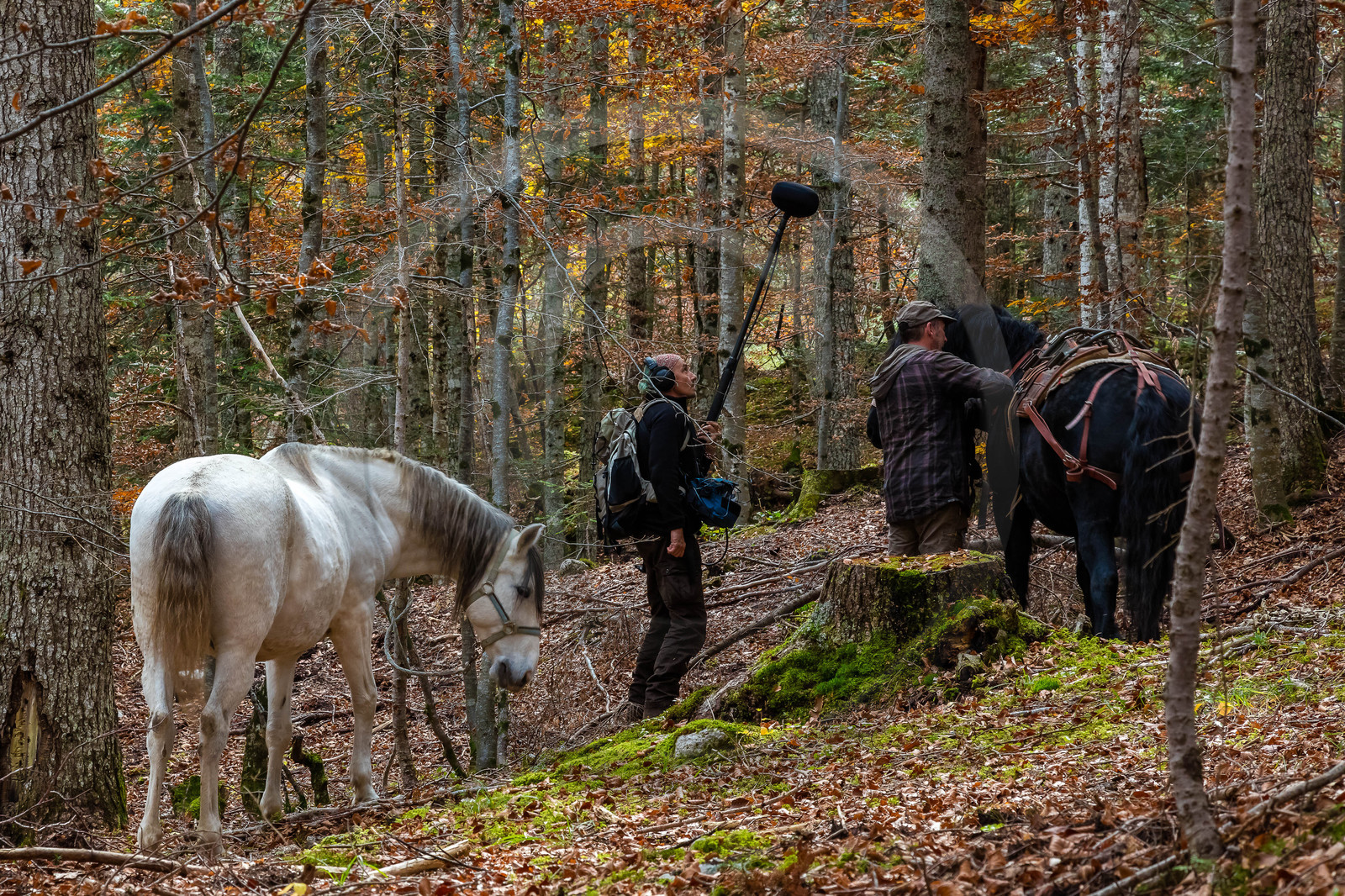 Making of du film La vallée des loups