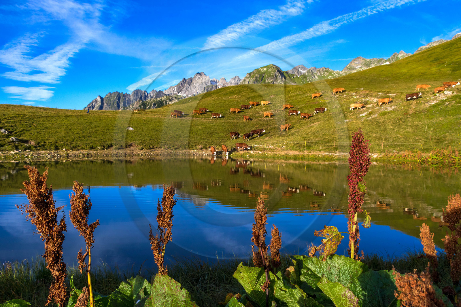 Lac de l'Arpettaz