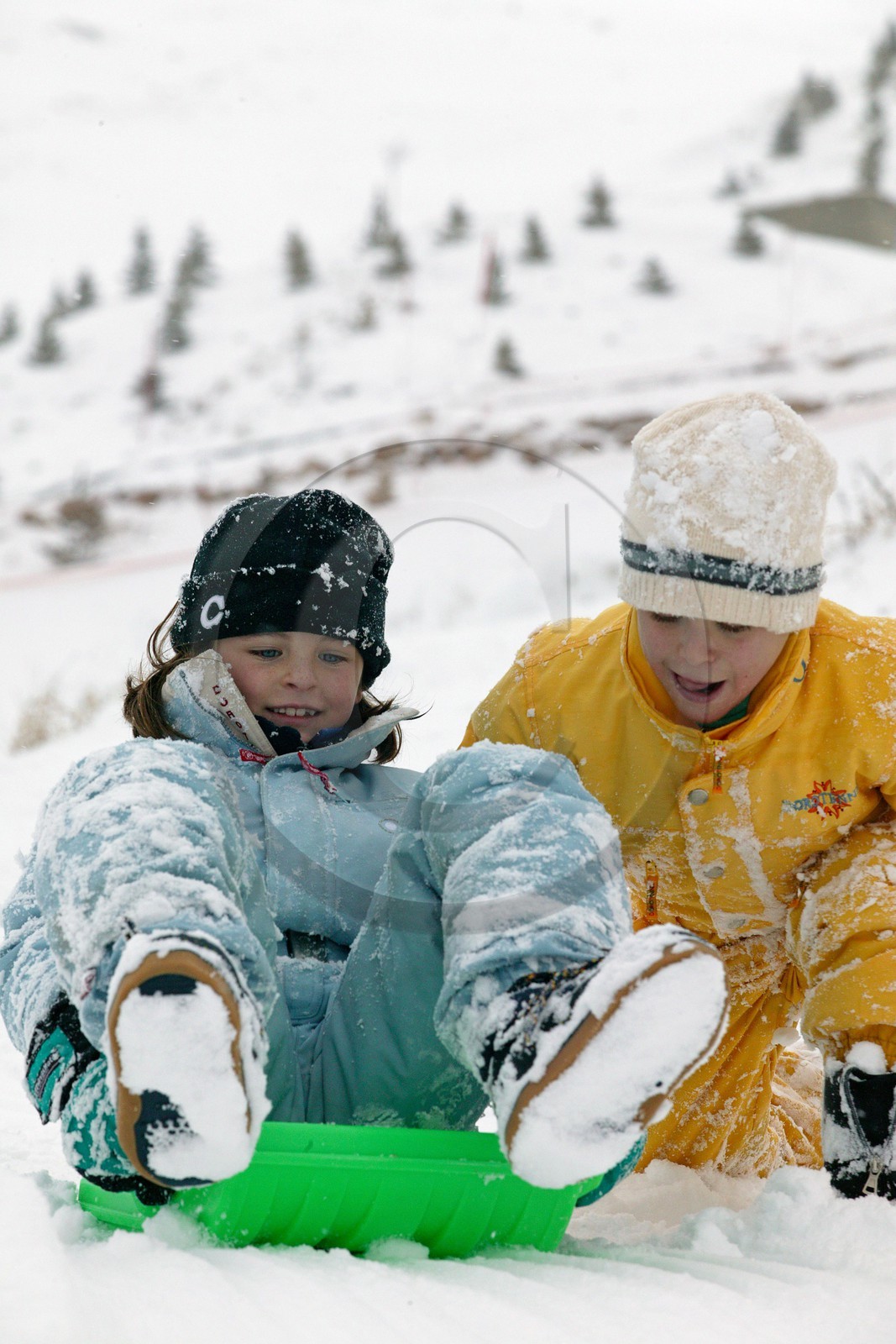 Luge d'hiver