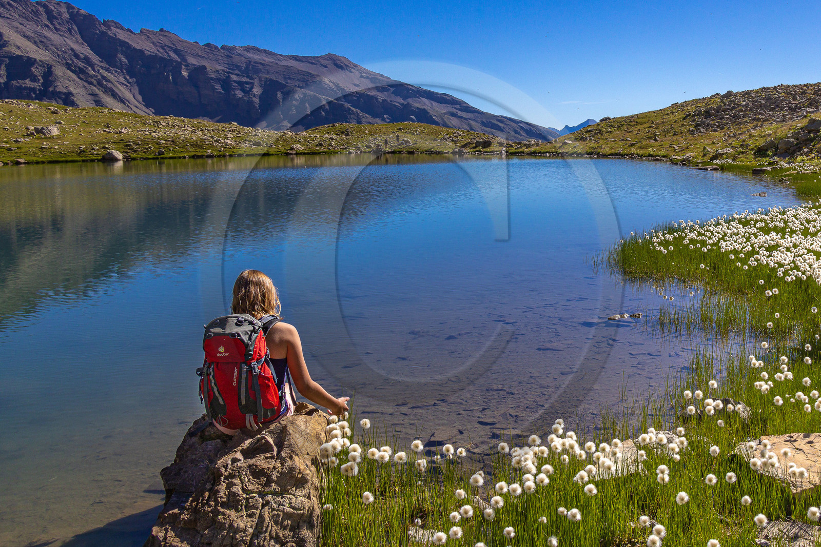 Lac Palluel