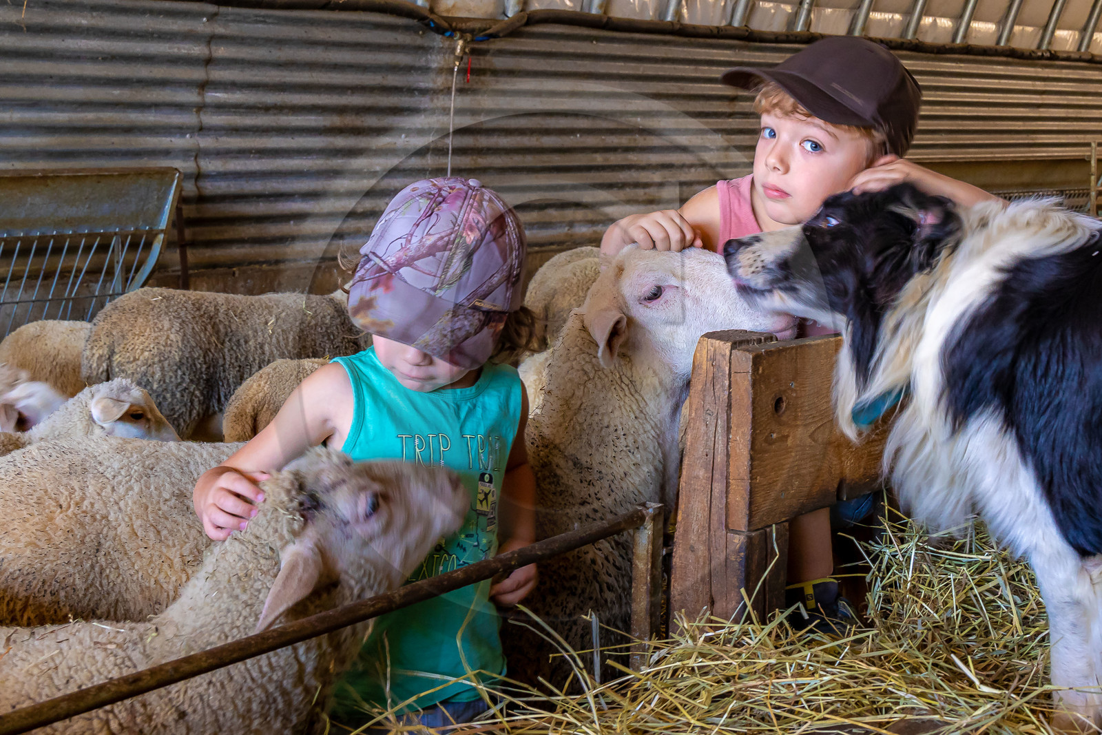 Ferme des Bichoux
