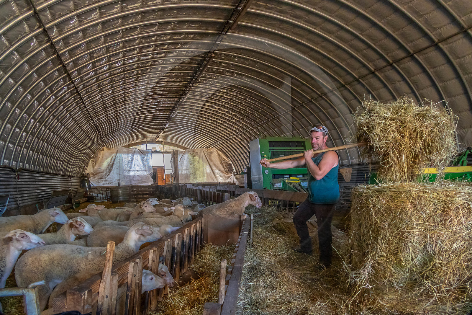 Ferme des Bichoux