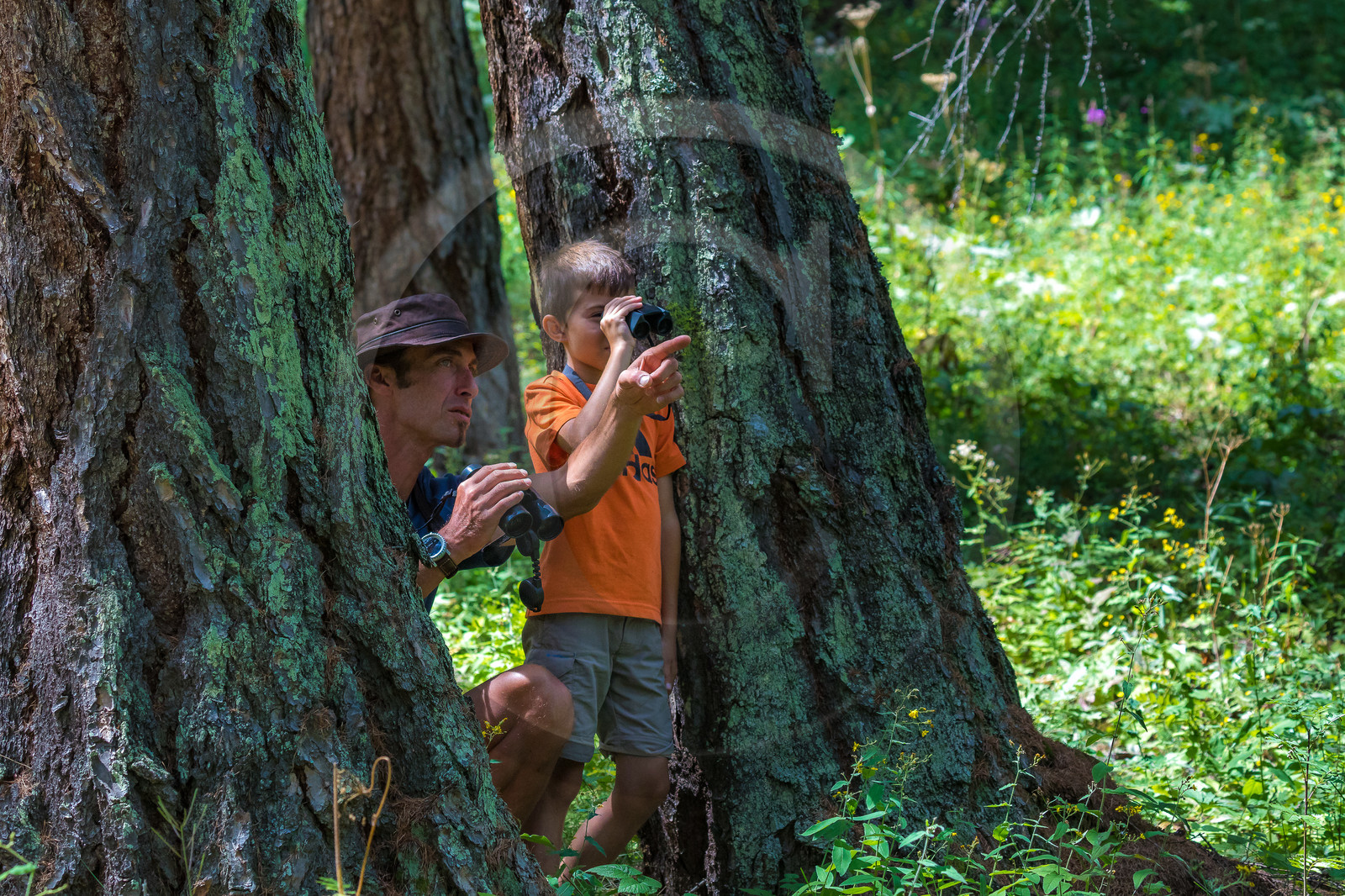 Curieux de nature, sortie découverte avec Cyril Mahout