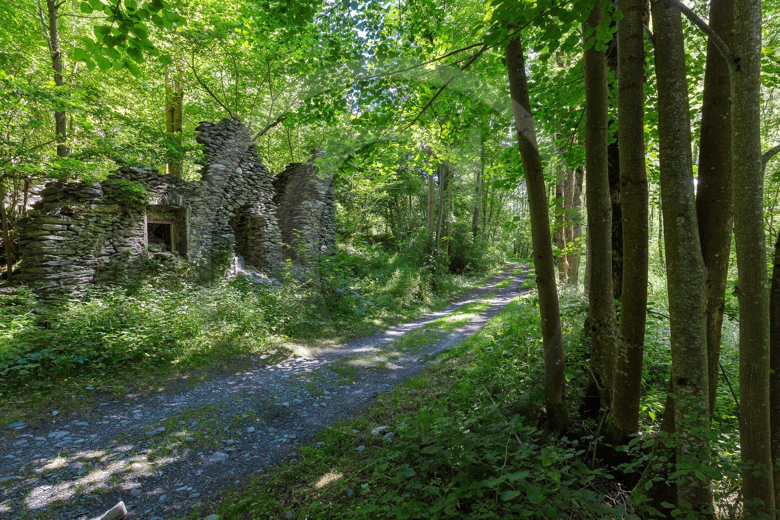ENS de l'Isère, Vieille morte de Bourg d'Oisans