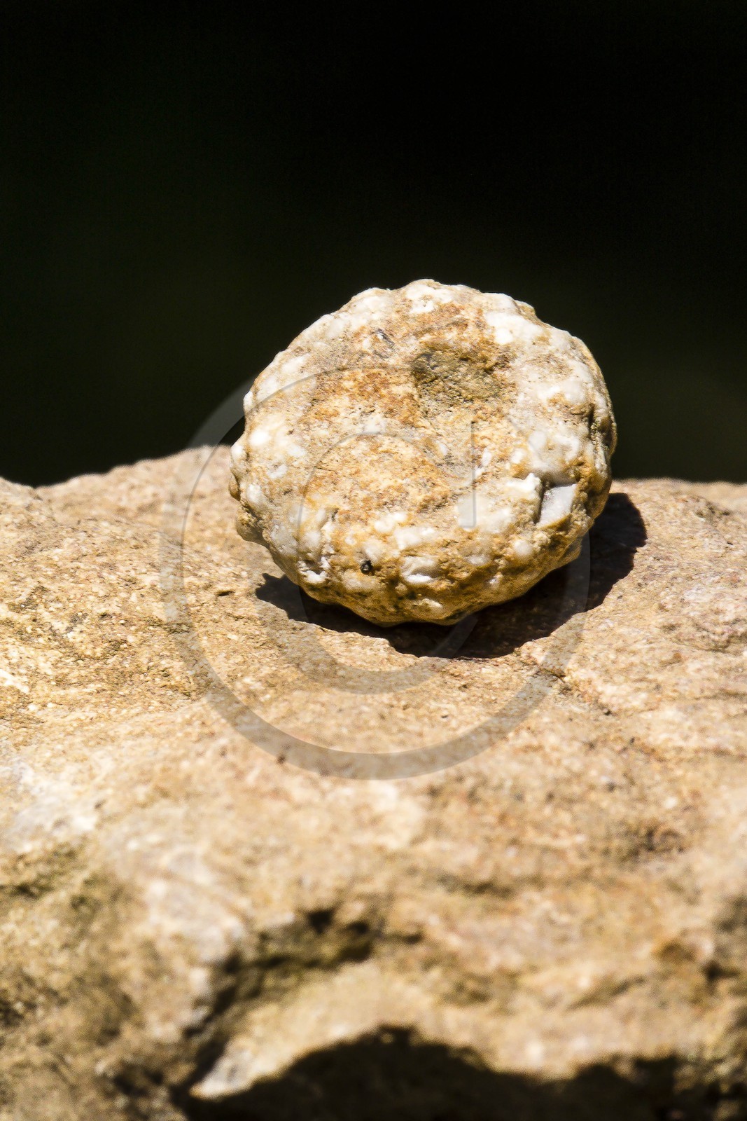 ENS de l'Isère, vallée fossile des Rimets