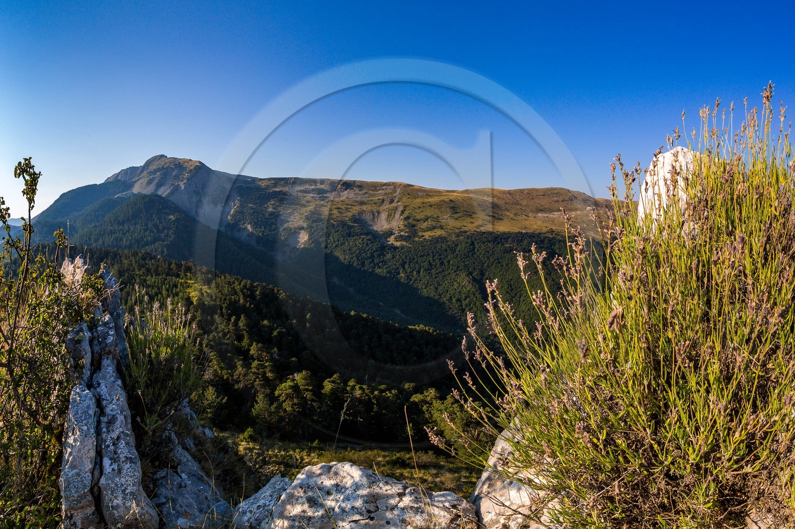 Les Monges, Coste Belle et les Monges 2115 m
