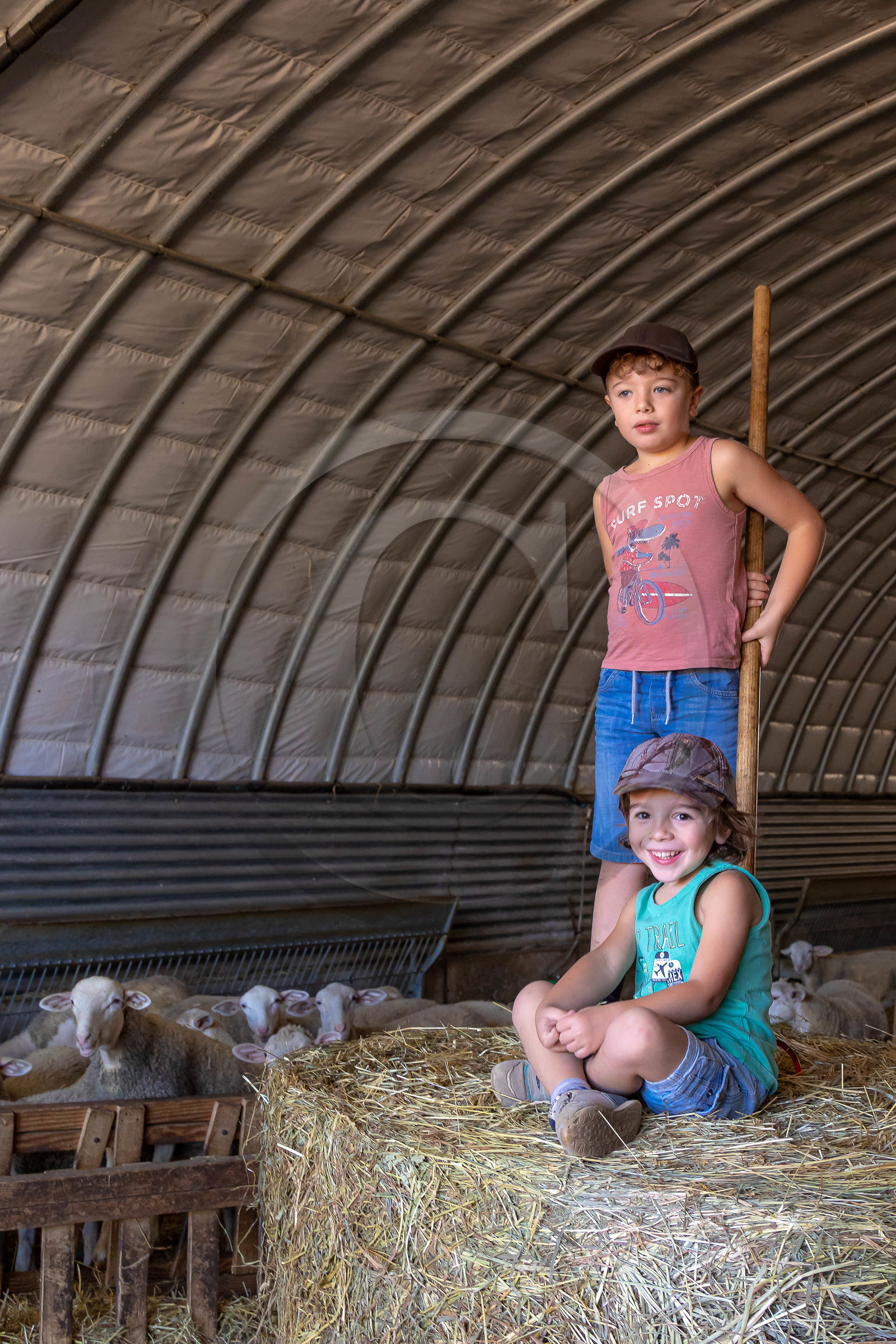 Ferme des Bichoux