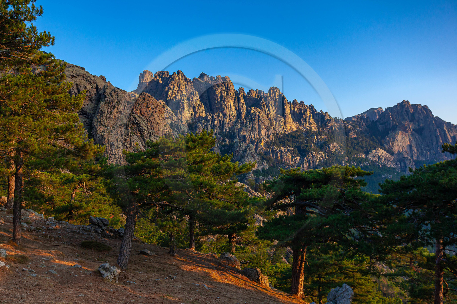 Les Aiguilles de Bavella (forchi di Bavedda )