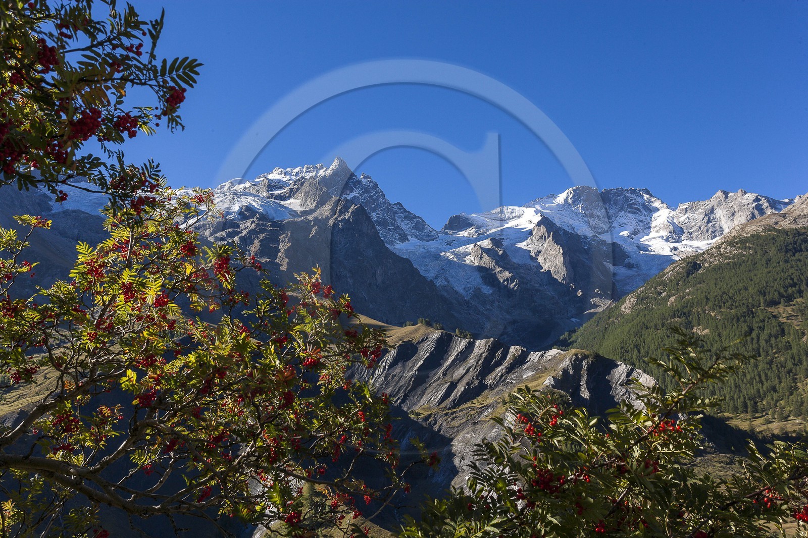 La Meije, La Grave